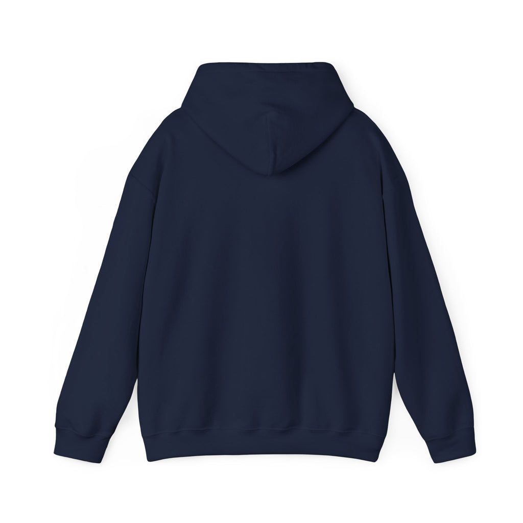 Koi Fish Yin Yang Hoodie — Aqua Zen Graphic Hooded Sweatshirt