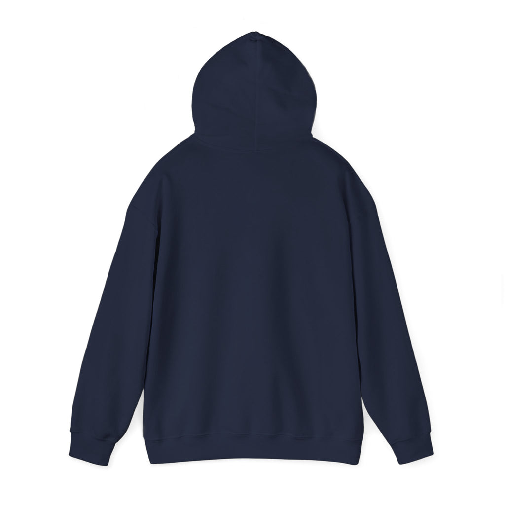 Koi Fish Yin Yang Hoodie — Aqua Zen Graphic Hooded Sweatshirt