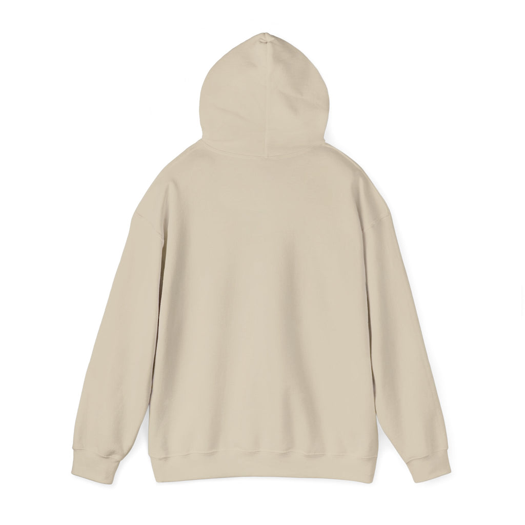 Koi Fish Yin Yang Hoodie — Aqua Zen Graphic Hooded Sweatshirt