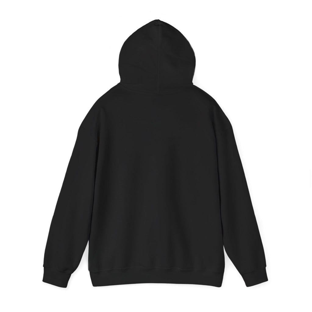 Koi Fish Yin Yang Hoodie — Aqua Zen Graphic Hooded Sweatshirt