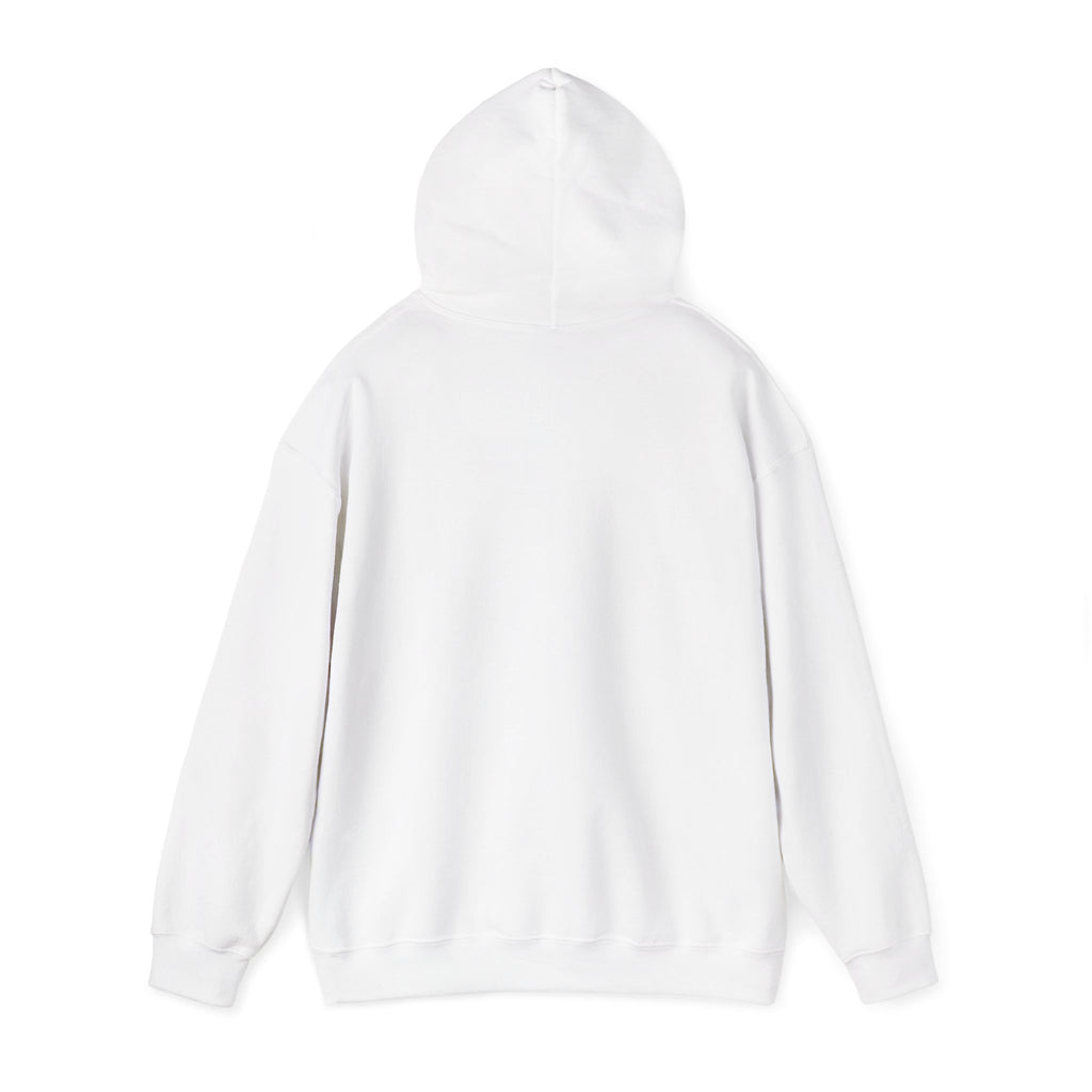 Koi Fish Yin Yang Hoodie — Aqua Zen Graphic Hooded Sweatshirt