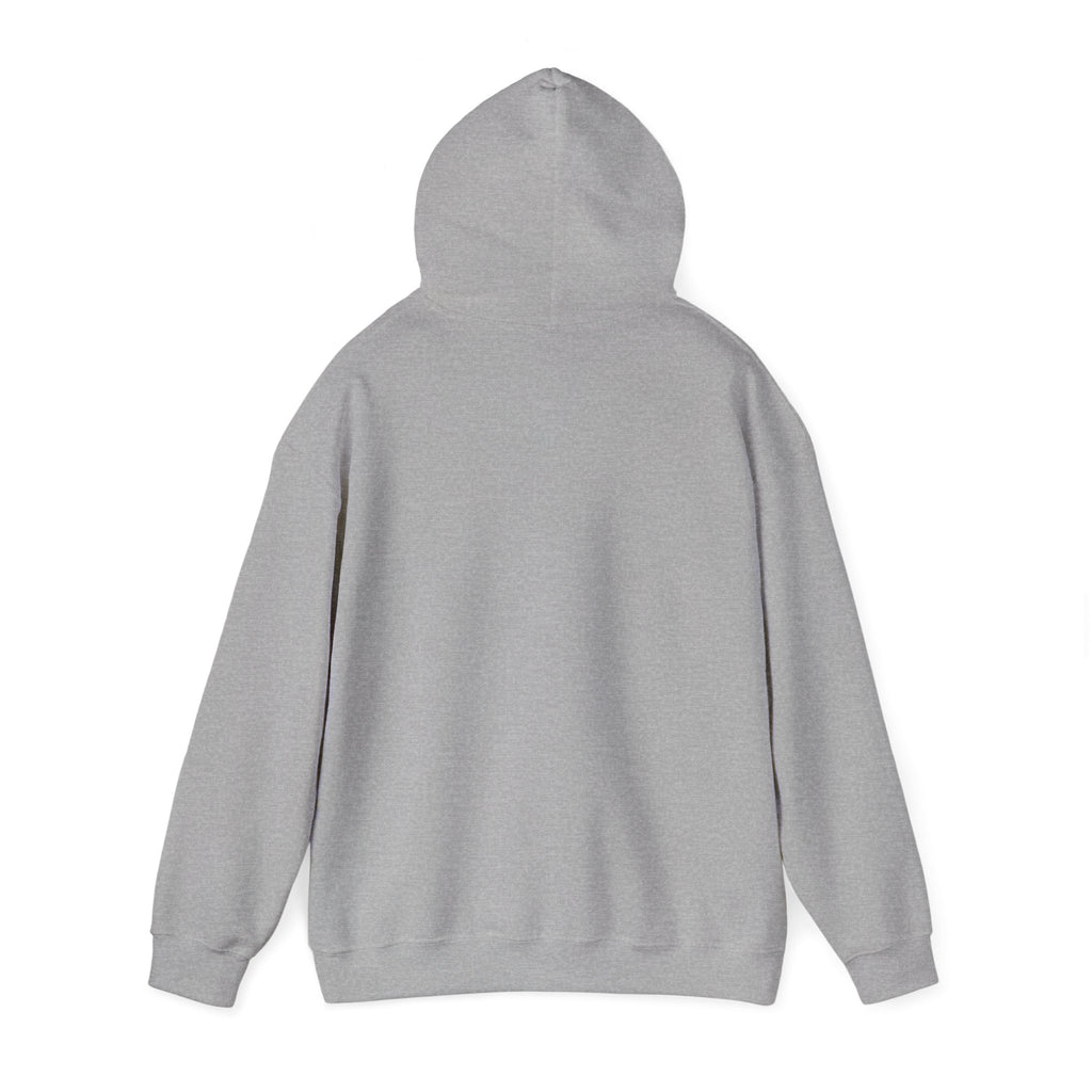 Koi Fish Yin Yang Hoodie — Aqua Zen Graphic Hooded Sweatshirt